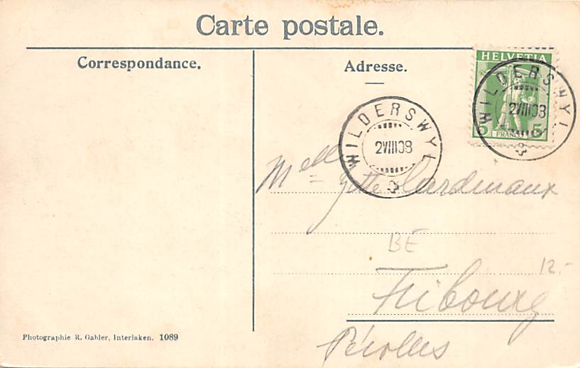 Wilderswil, Generalansicht