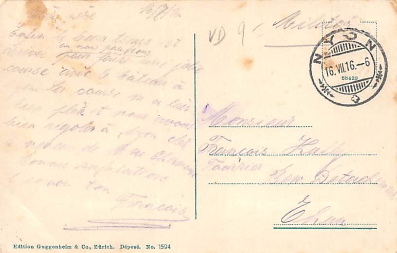 Nyon, Vue générale