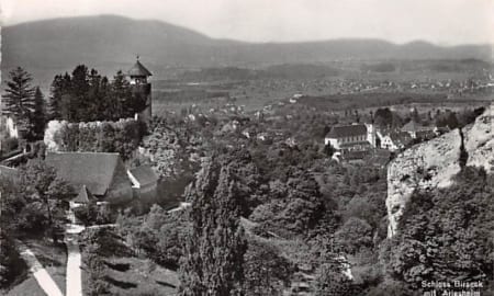 Arlesheim, Schloss Birseck mit Arlesheim