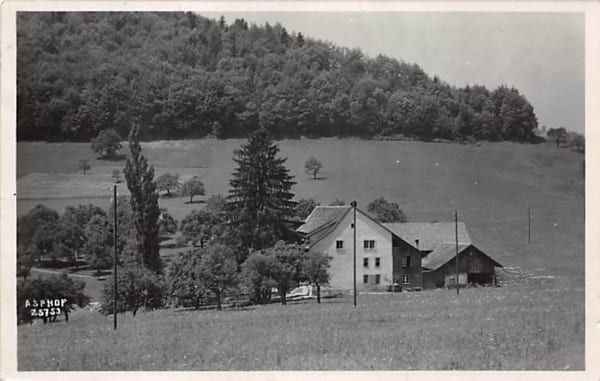Rothenfluh, Asphof