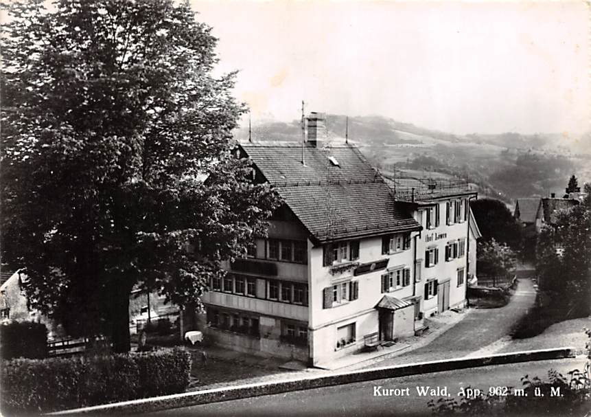 Wald, Gasthaus und Pension Löwen