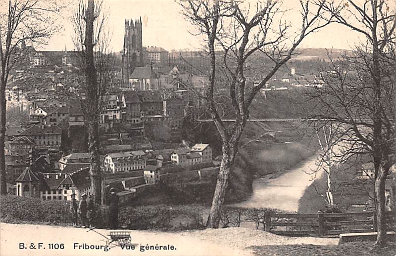 Freiburg, Vue générale