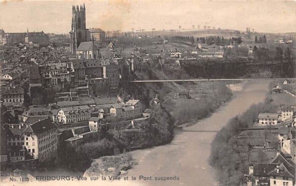 Freiburg, Vue sur la Ville et le Pont suspendu