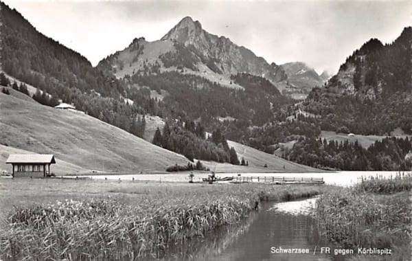 Freiburg, Villard, Vue aérienne