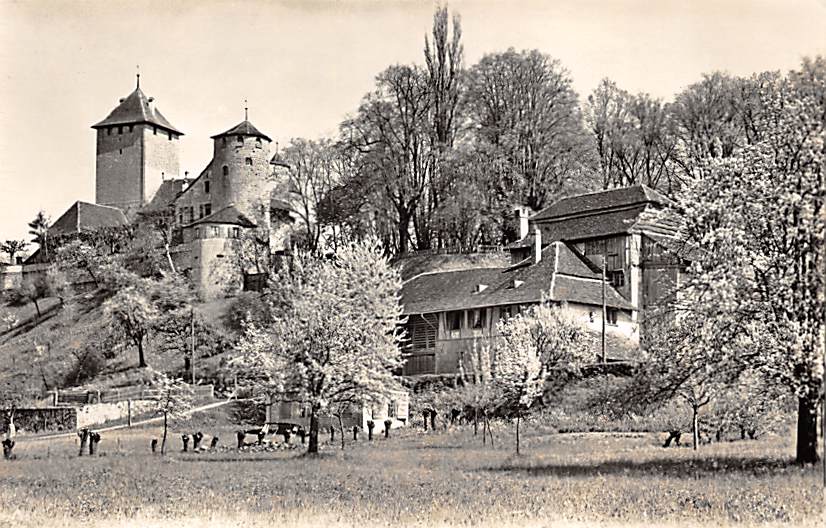 Murten, Morat, Le chateau