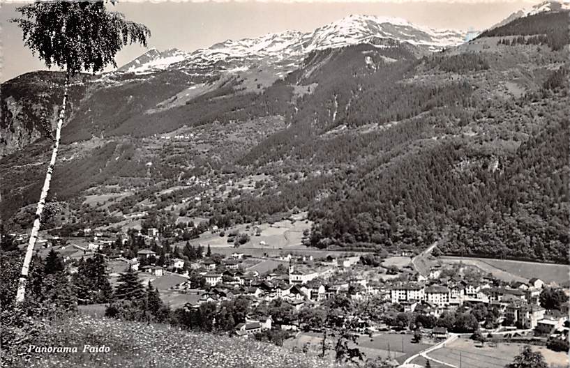 Faido, Panorama