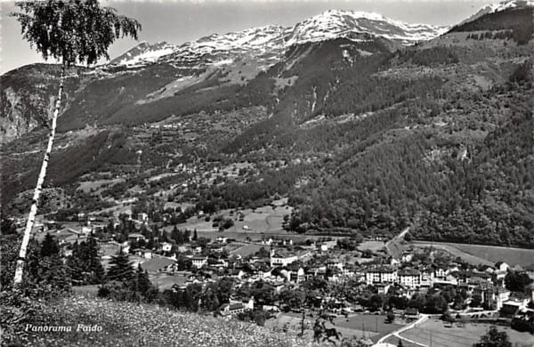 Faido, Panorama