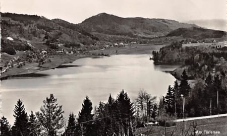 Am Türlersee