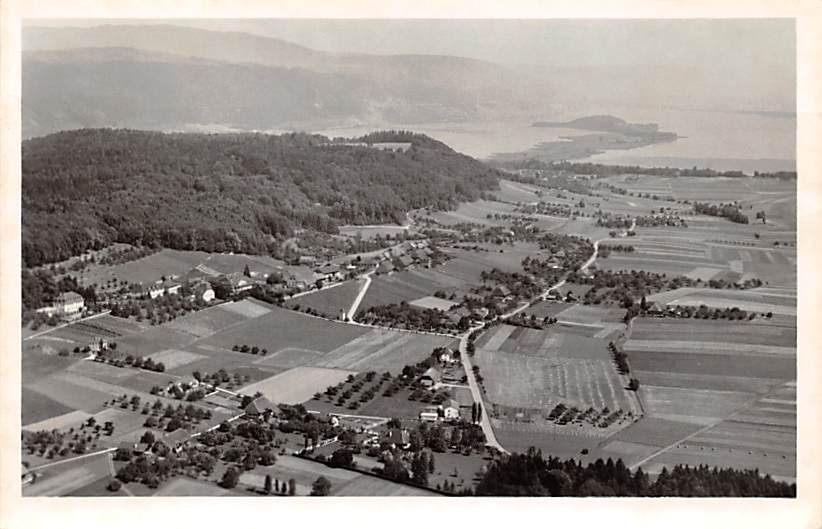 Tschugg mit Bielersee, Fliegeraufnahme