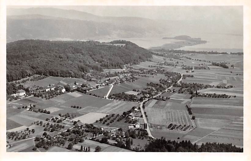 Tschugg mit Bielersee, Fliegeraufnahme