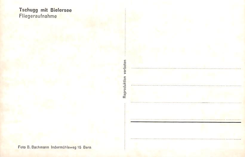 Tschugg mit Bielersee, Fliegeraufnahme