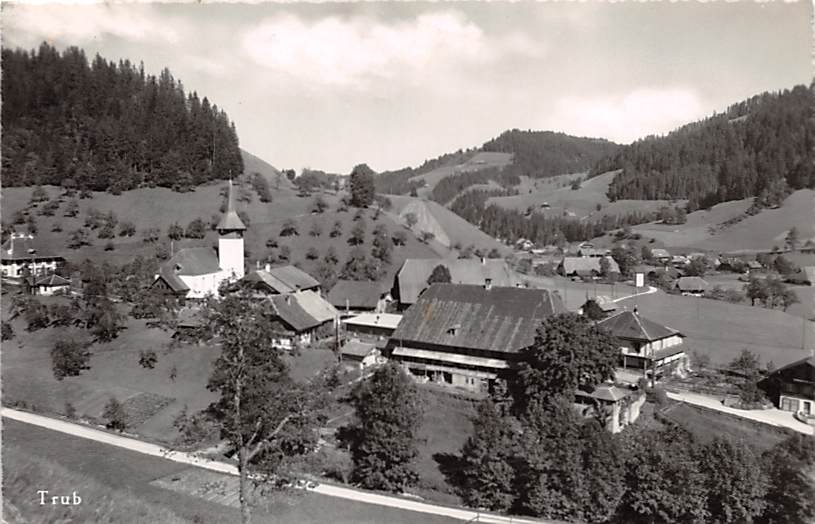 Trub