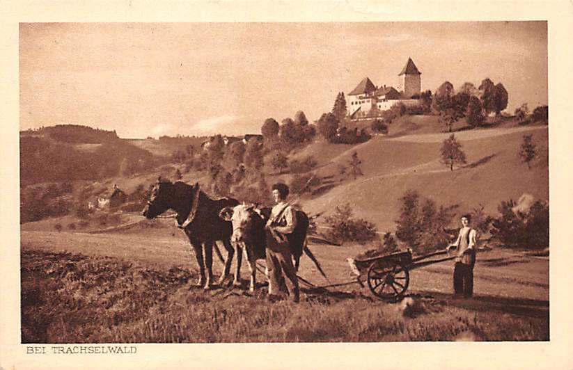 Trachselwald Ansichtskarten Shop AKFundus