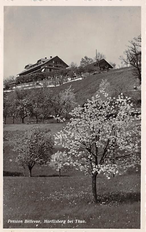 Steffisburg, Hartlisberg, Pension Bellevue