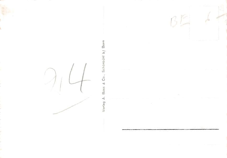 Vinelz, mit St. Petersinsel, Fliegeraufnahme