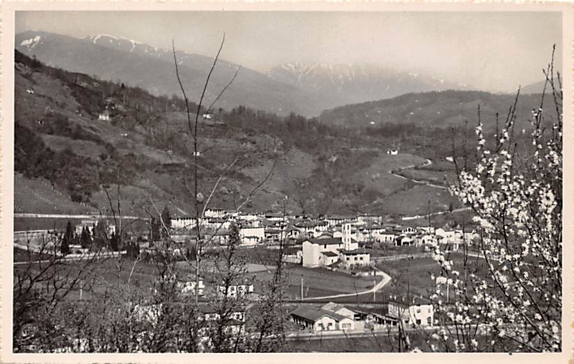 Lamone, Panorama