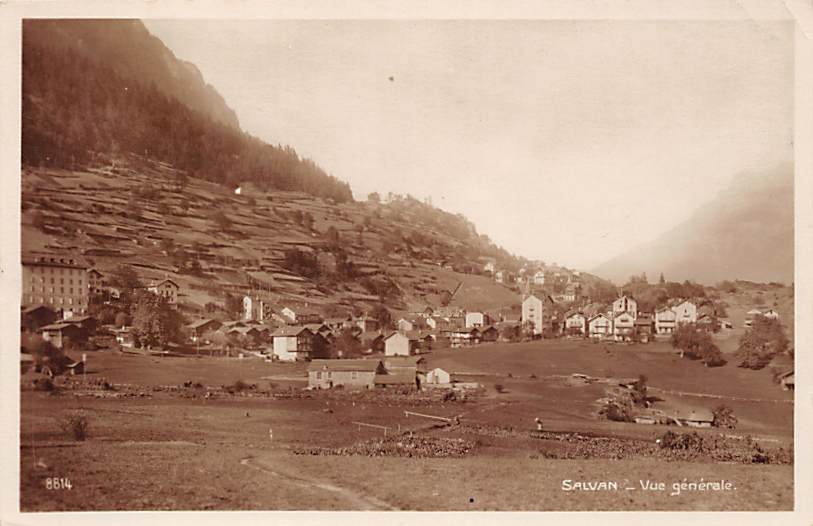 Salvan, Vue générale