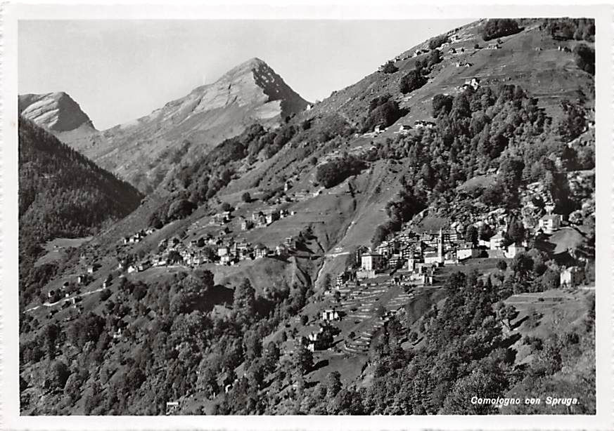 Spruga, Comologno