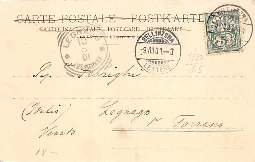 Bellinzona, Veduta generale