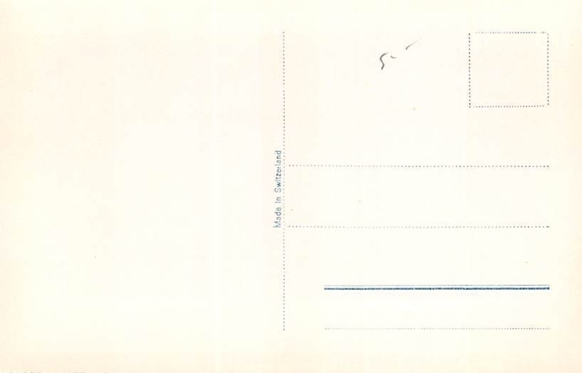 Bellinzona, Veduta Generale