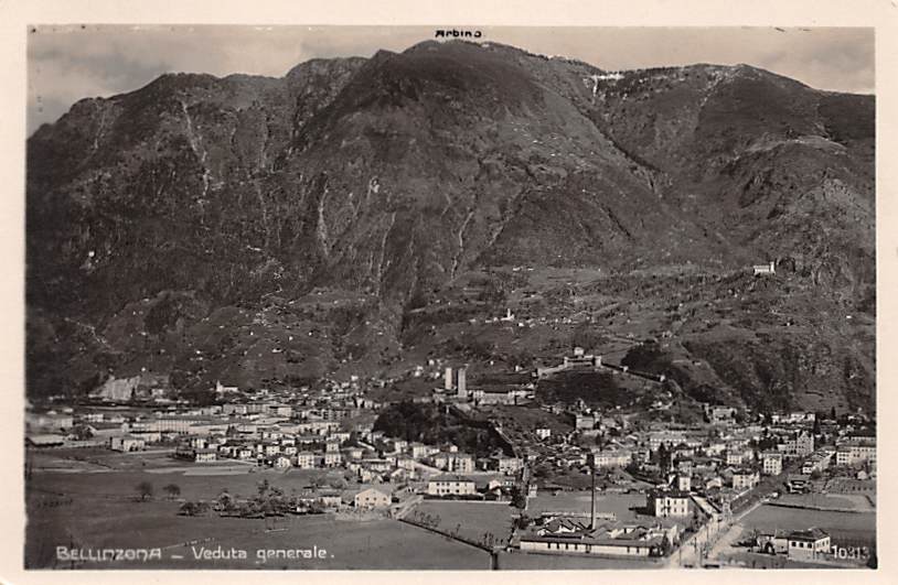 Bellinzona, Veduta generale