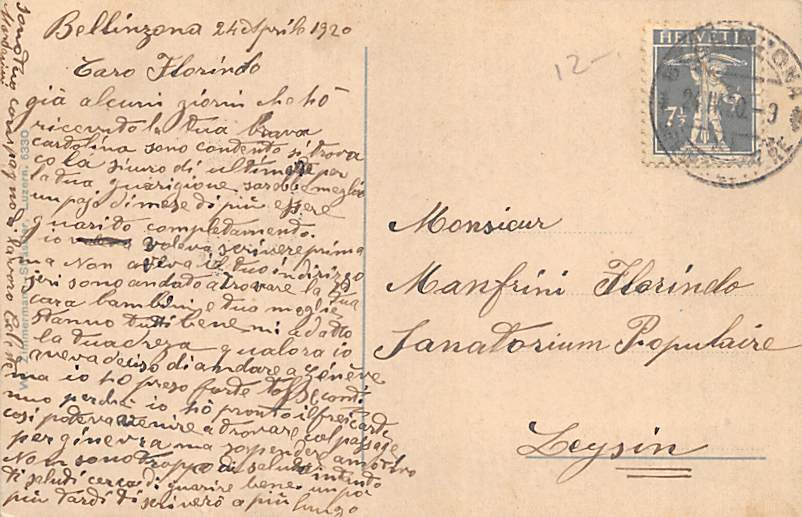 Bellinzona, Panorama Nord