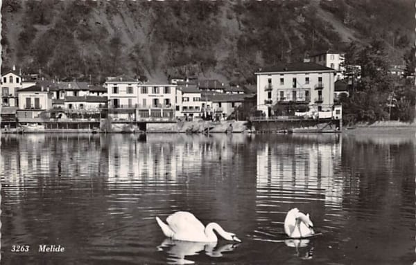 Melide