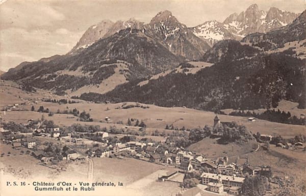 Chateau-d'Oex, Vue générale