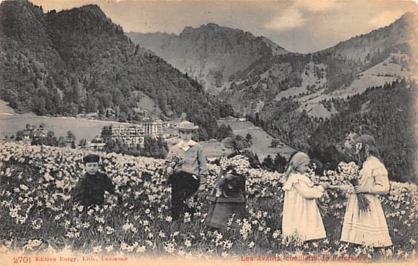 Les Avants