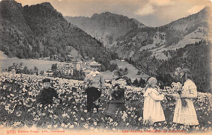 Les Avants