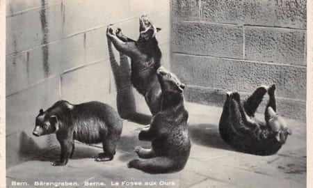 Bern, Bärengraben