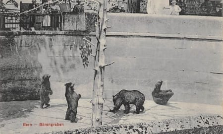 Bern, Bärengraben