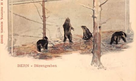 Bern, Bärengraben