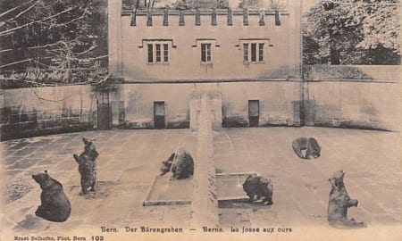Bern, Bärengraben