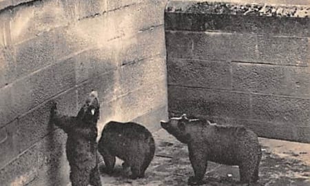 Bern, Der Bärengraben