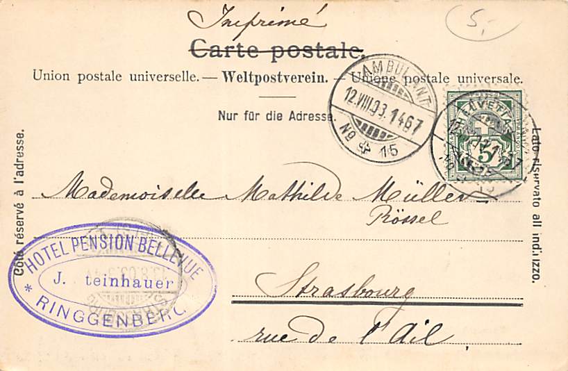 Berner Oberland, Panoramakarte