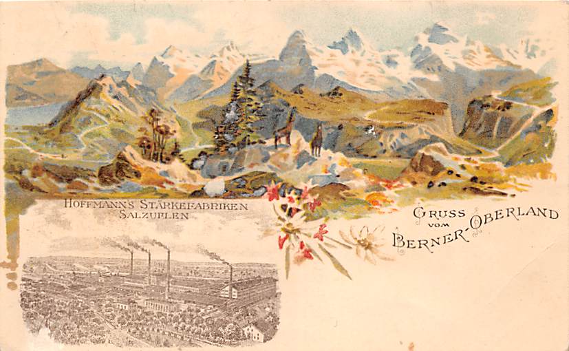 Berner Oberland, Hoffmann's Stärkefabriken