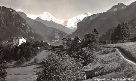 Wilderswil, mit Blick auf die Alpen