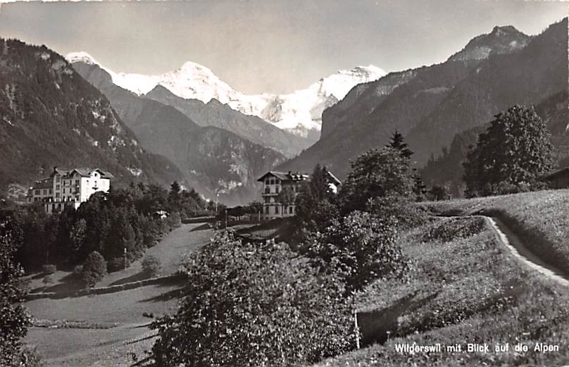 Wilderswil, mit Blick auf die Alpen