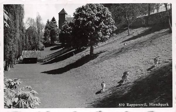 Rapperswil, Hirschpark