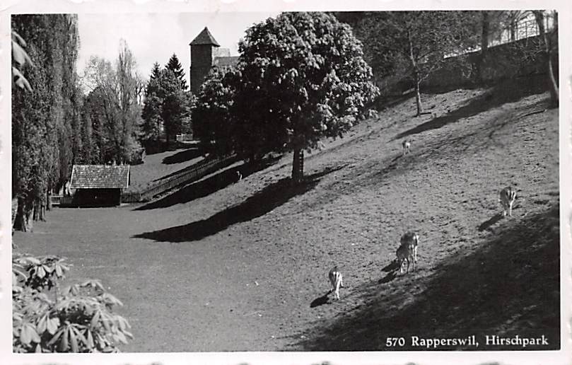Rapperswil, Hirschpark