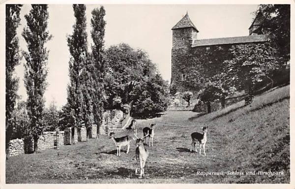 Rapperswil, Schloss und Hirschpark