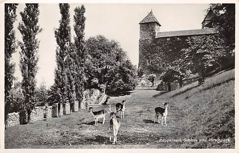 Rapperswil, Schloss und Hirschpark