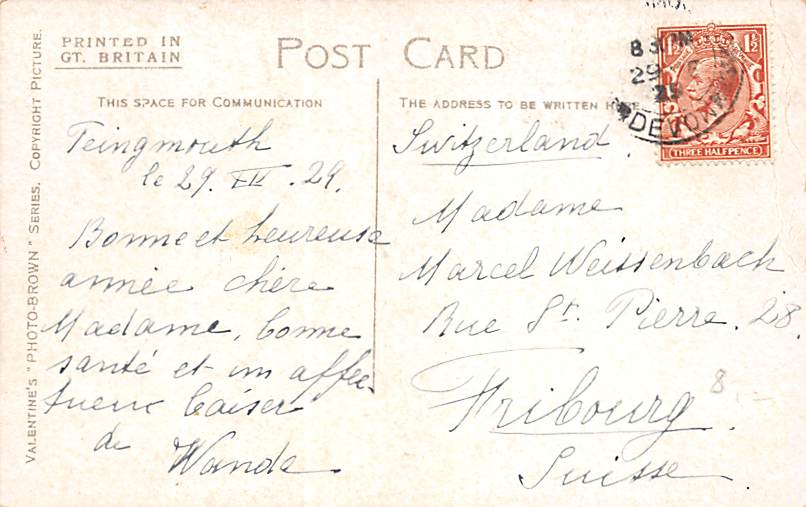 Labrador, near Teignmouth