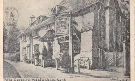 Weslerham, Pills Collage