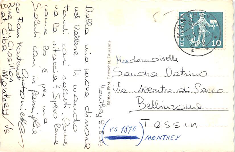 Monthey, vue générale