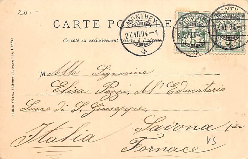 Monthey, vue générale