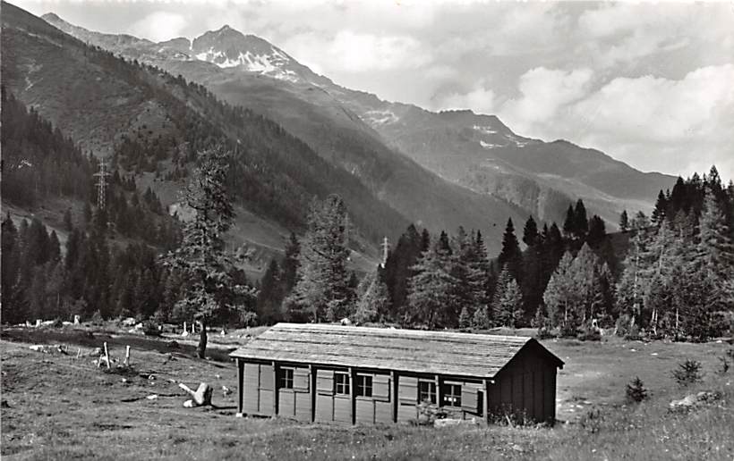 Valle Bedretto, Selva