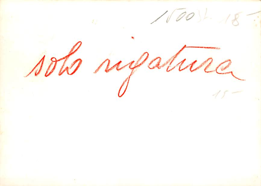 Zürich, Jelmoli, Autos, Meilleurs voeux