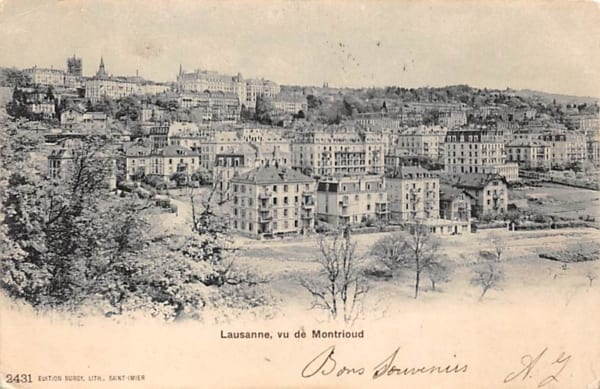Lausanne, vu du Montrioud